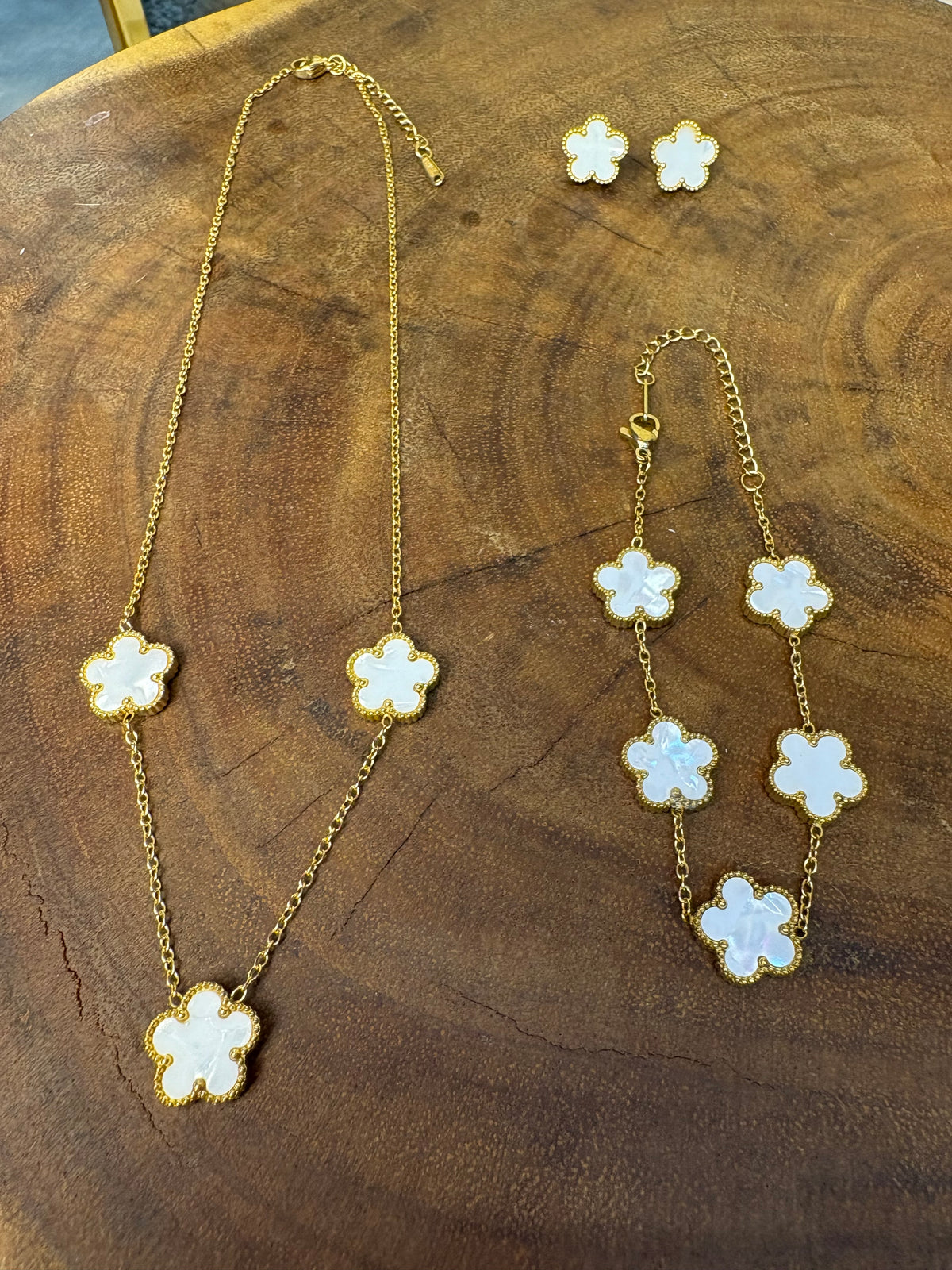 Conjunto cleef